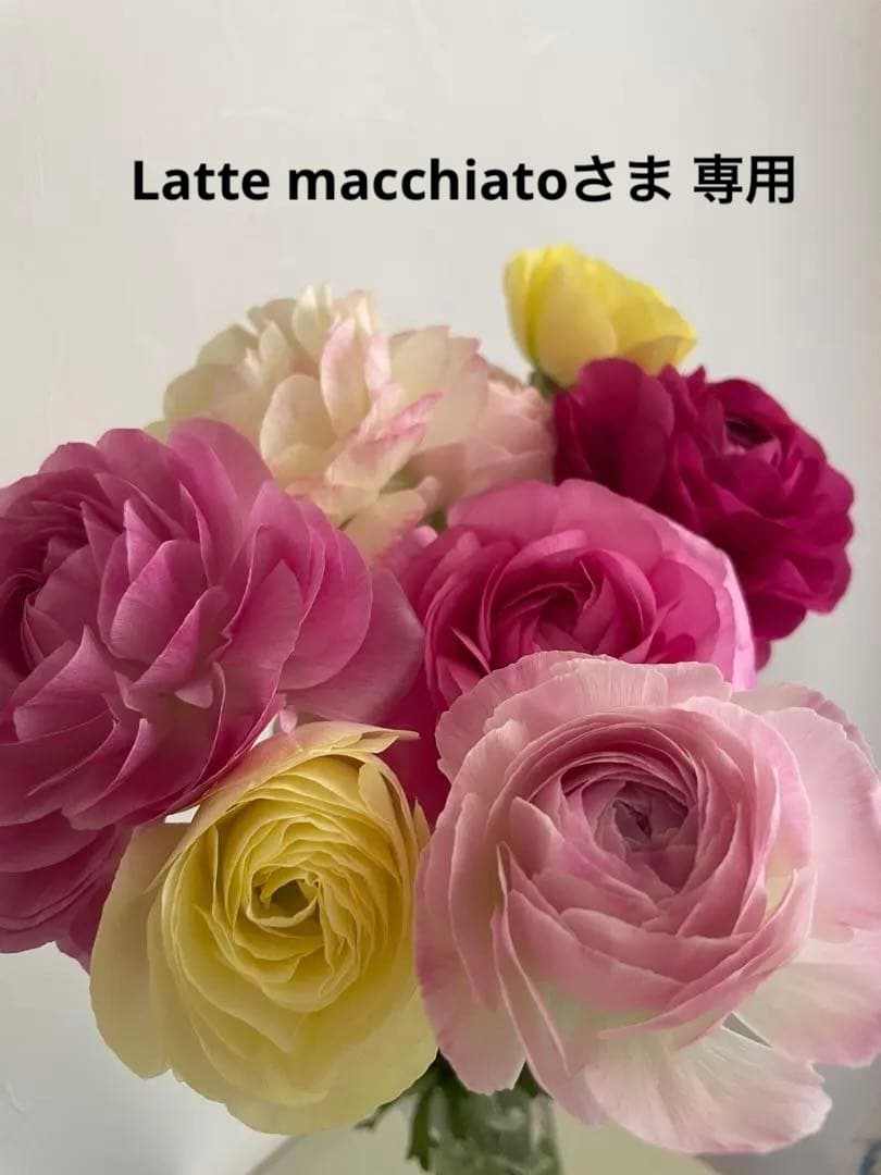 Latte macchiatoさま 専用 サルート 01G 17G ガーター 楽天市場】ガーターベルト ワコールの通販